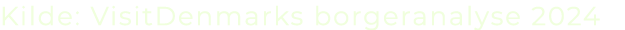 Kilde: VisitDenmarks borgeranalyse 2024 