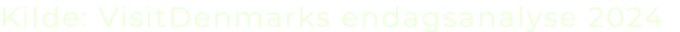 Kilde: VisitDenmarks endagsanalyse 2024