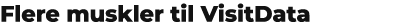 Flere muskler til VisitData